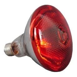 Commercial Food Warmer 3 Heating Lamps | Adexa WL750 -Adexa Sales WL bulb 1200x1200 2